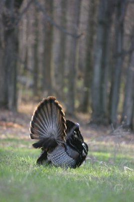 IMG_8327.jpg
