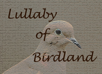 Lullaby of Birdland Video 