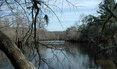 Wintertime in the Choctawhatchee SwampsVIDEO