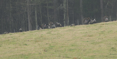 g2/52/363052/3/149269723.4p04AcG5.jpg