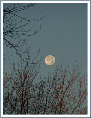 November 01 - Morning Moon