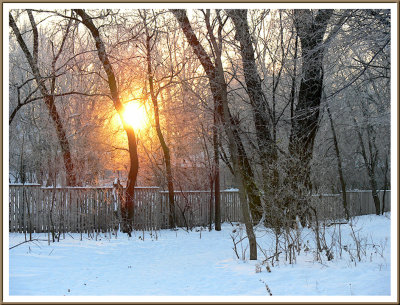 January 01 - The Dawn of a New Year