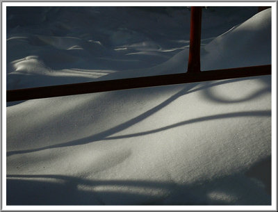 January 03 - Snow Shadows