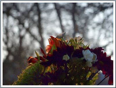 January 17 - Sunset Bouquet