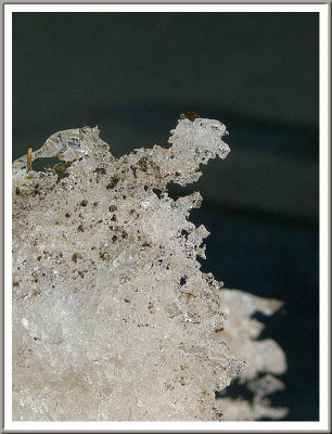 March 03 - Ice Sculpture