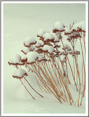 March 04 - More Snow