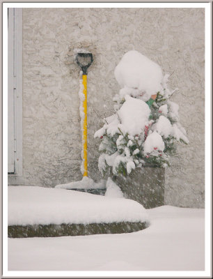 March 05 - Another Snowy Day
