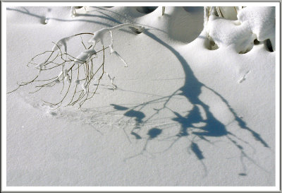 March 06 - Snow Shadow