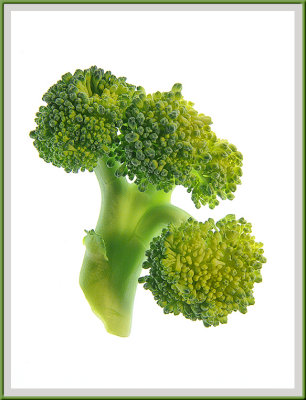 March 12 - Broccoli