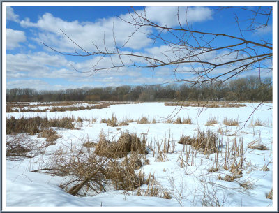 March 25 - It's Not Summer Yet