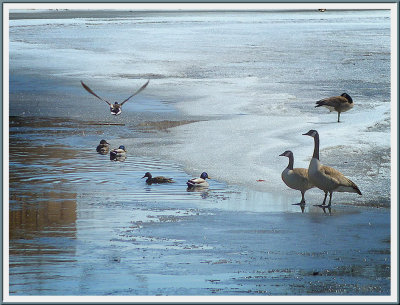 March 26 - Early Birds