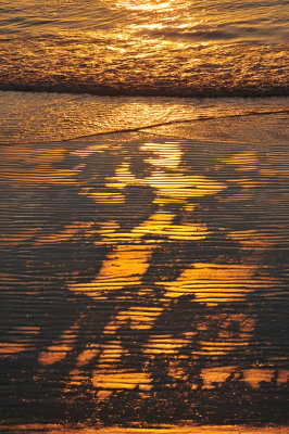 RIPPLES AT LOW TIDE
