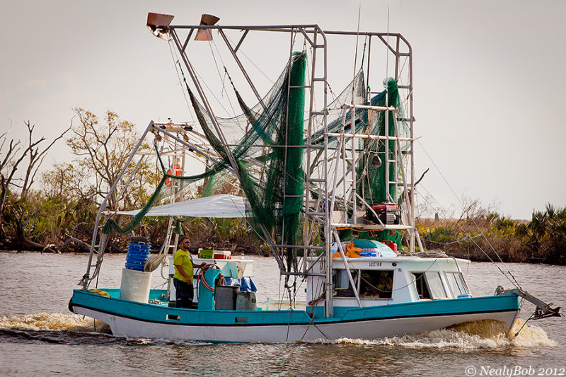 Shrimp Boat October 24