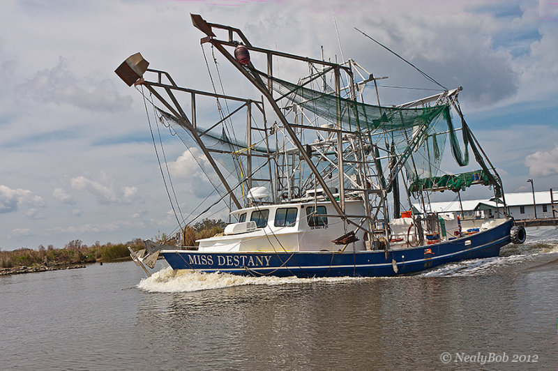Shrimp Boat October 26