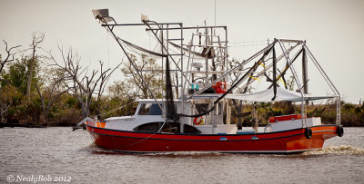 Shrimp Boat October 23