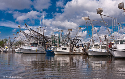 Shrimp Boats November 12