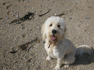Cornwall-Portreath 2012_122409_7927.jpg