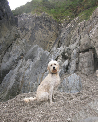 Cornwall-Portreath 2012_122509_7865.jpg