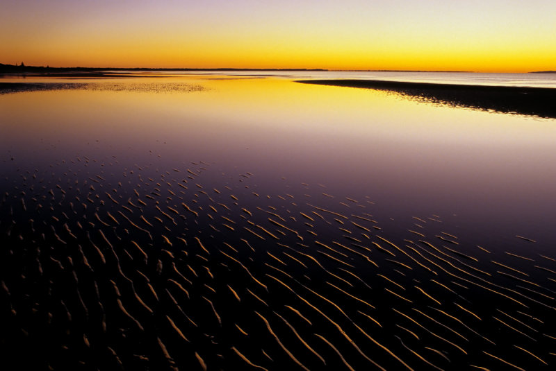 The Rosy Dawn