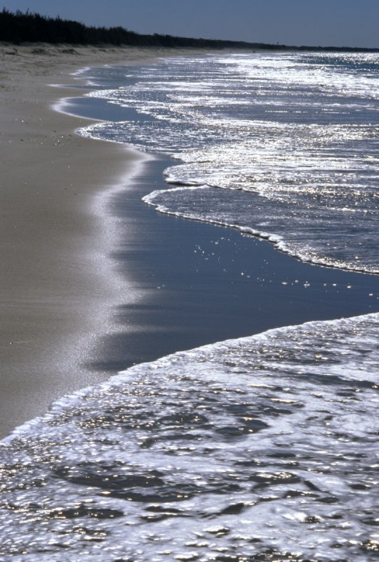 Surf Beach