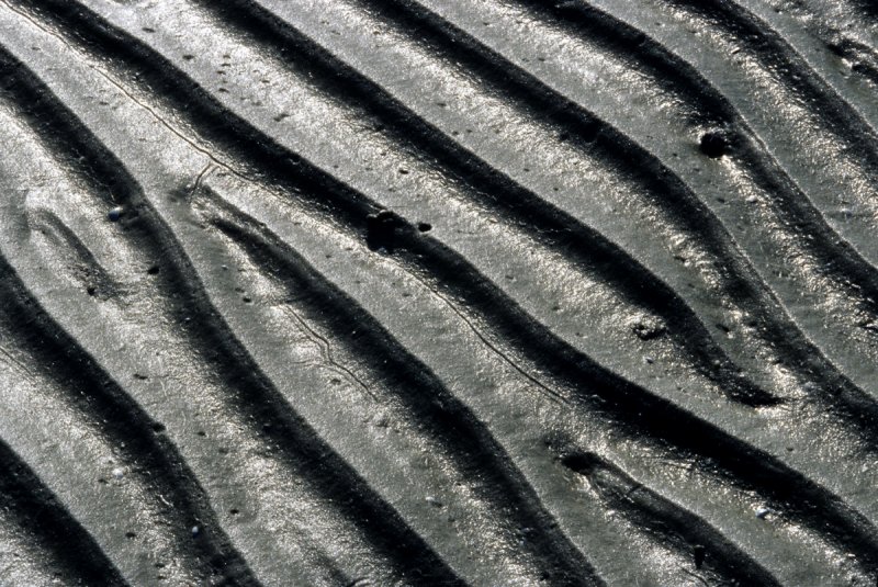 Waves of mud