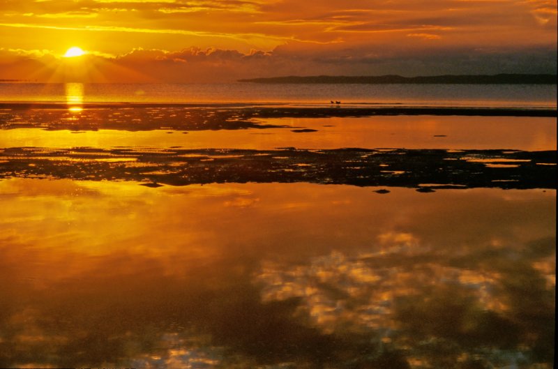 morning has broken