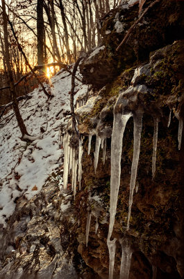 Winter's fingers