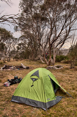 Our home among the gum trees