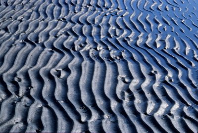 waves on the mudflats