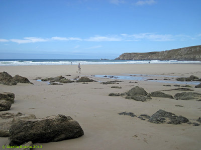 low tide