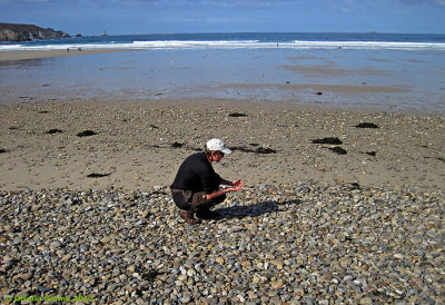 searching for pebblestones