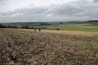 searching on a acre