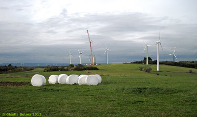 windmill parc