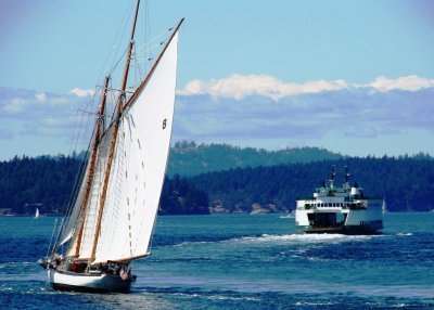 Sailboat and Ferry.JPG