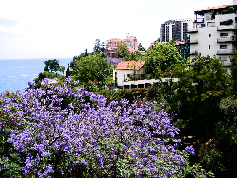 Jacaranda & Reids Hotel