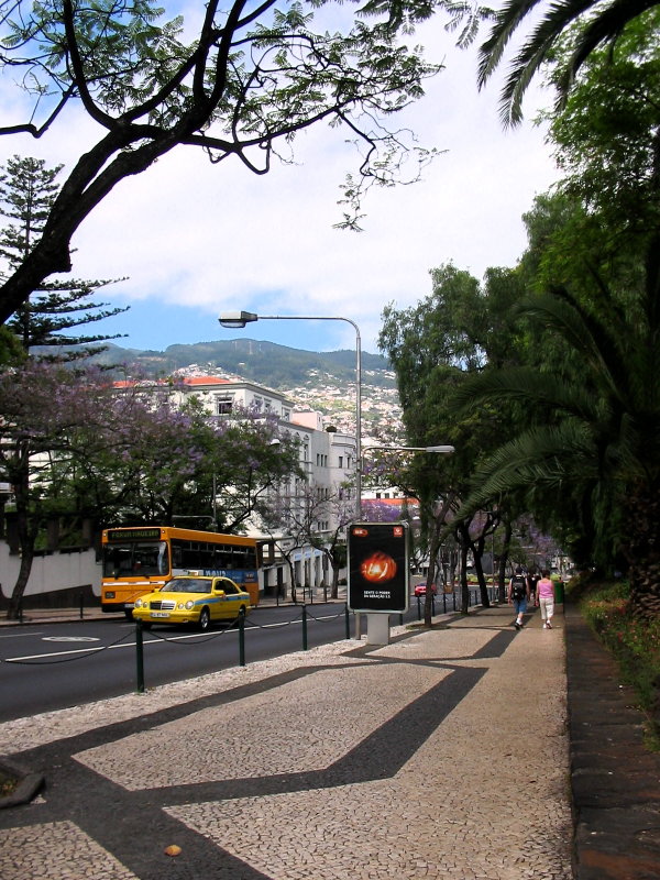 Street scene -8
