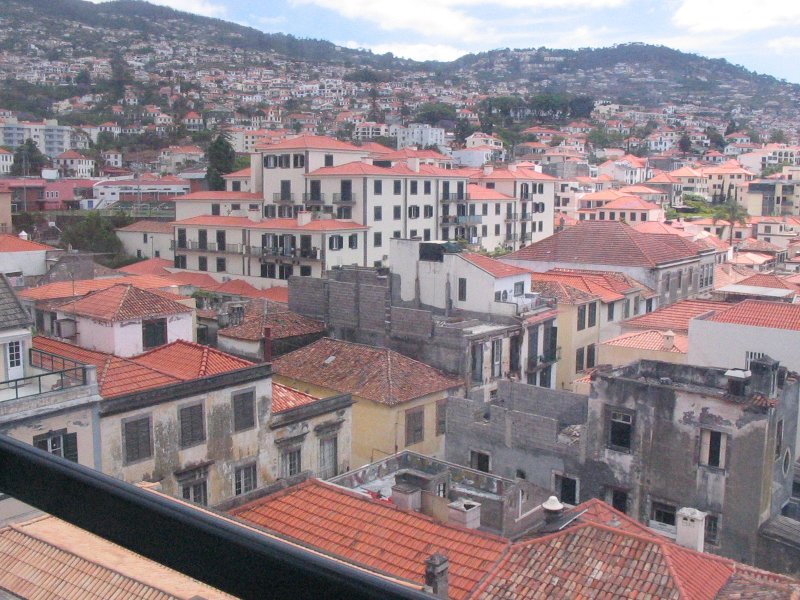 Views from gondola
