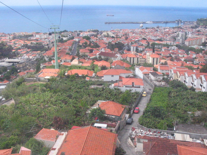 View back to harbour from gondola