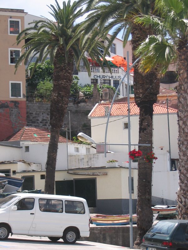 Camara De Lobos