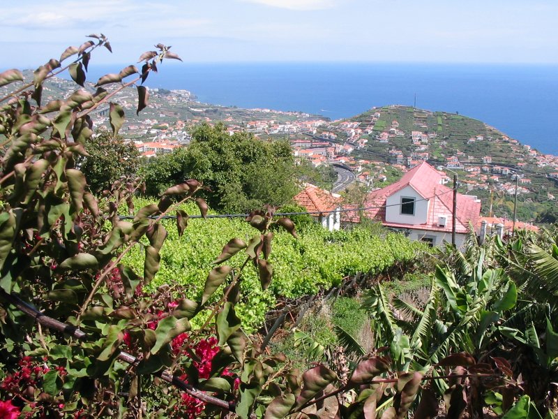 Vila Afonso