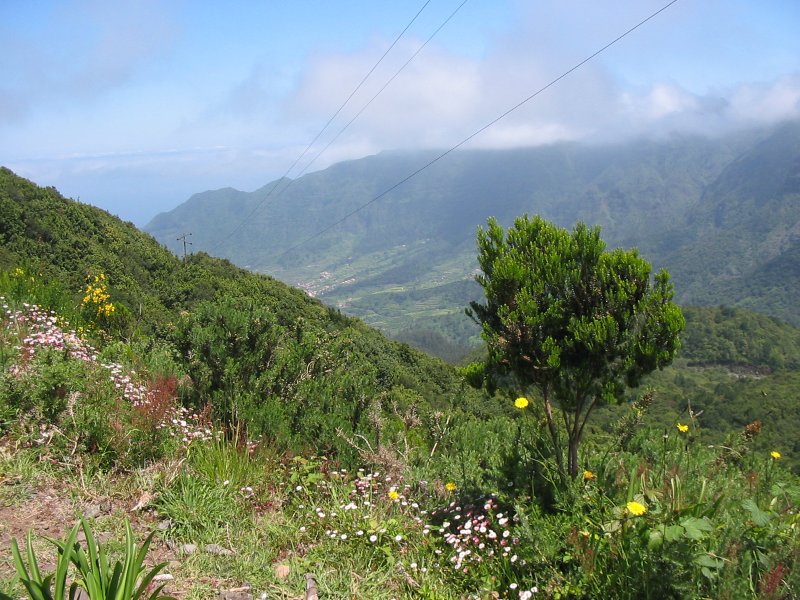 View from Mt. Encumeada