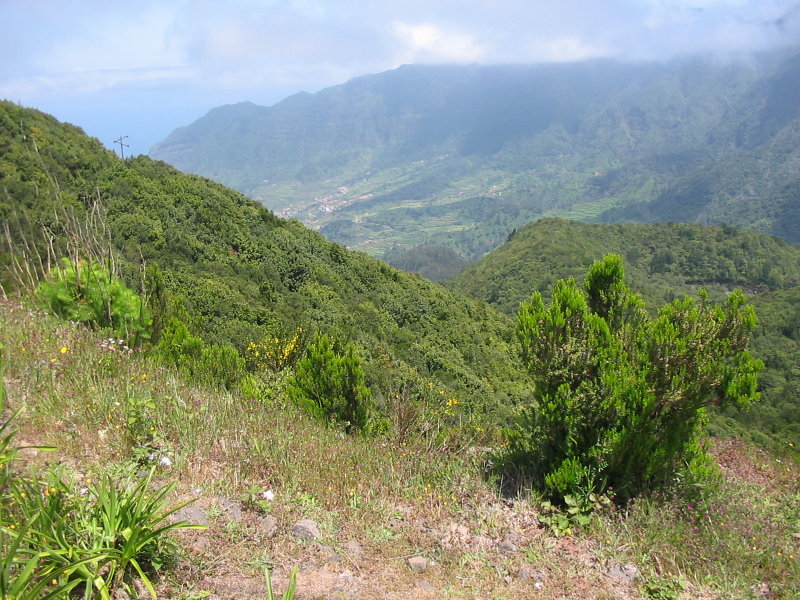 Looking north from encumeada