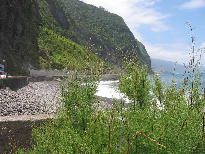 Sao Vicente