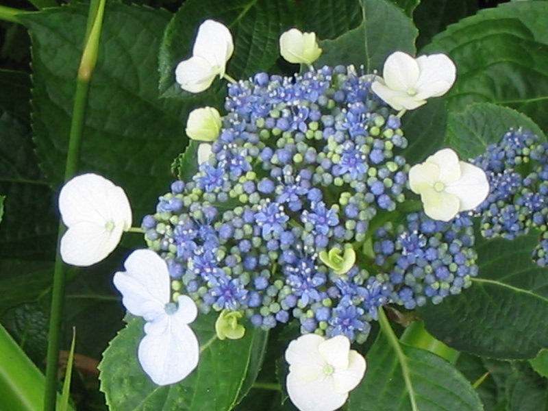 IMG_3291.JPG