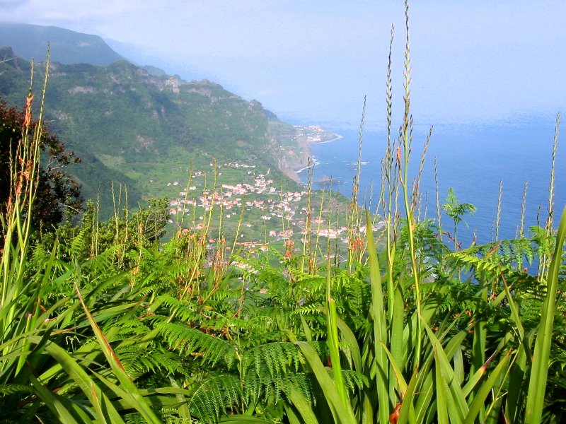 Cliffside view down to Arco de Sao Jorge