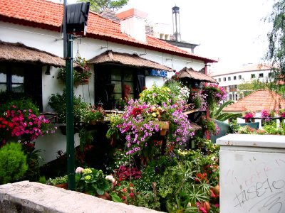 Funchal street scene -4