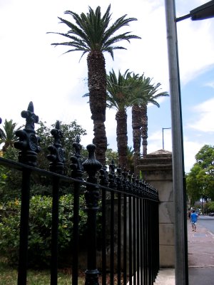 Funchal street scene -5