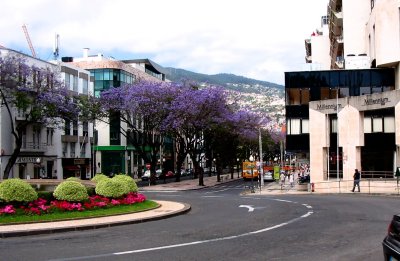 Street scene -6