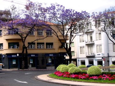 Street scene -7