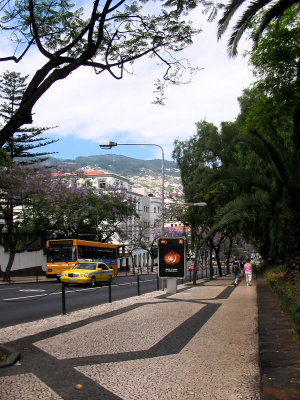 Street scene -8